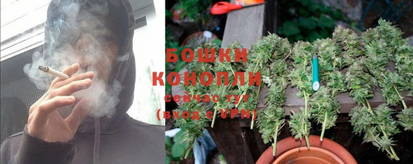 СК Волоколамск